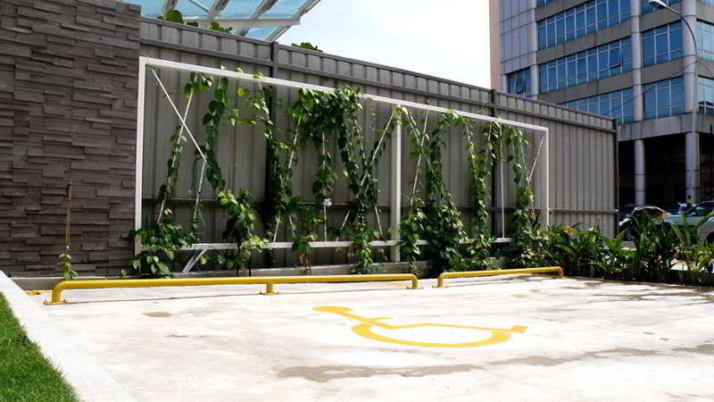 HelicoNia Hotel George Town Esterno foto